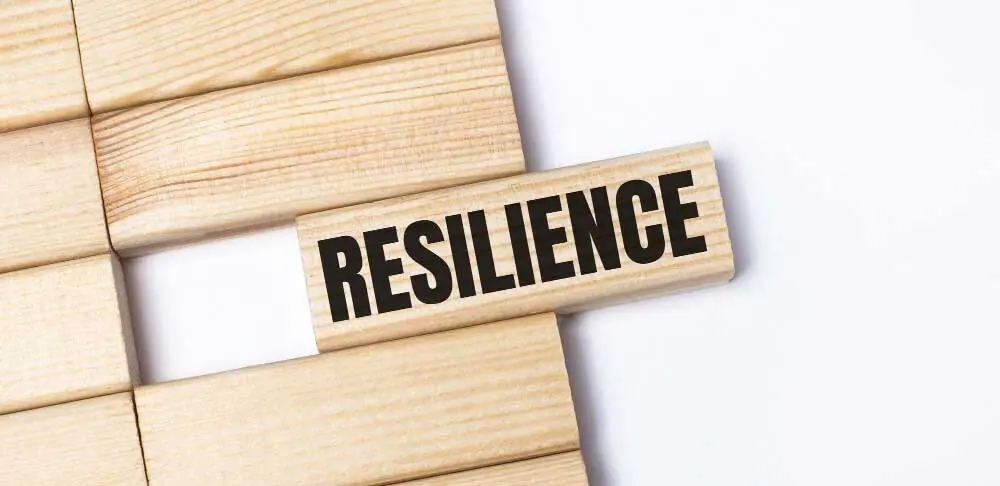 Build a Resilient Business in the Face of Increased Regulatory Scrutiny